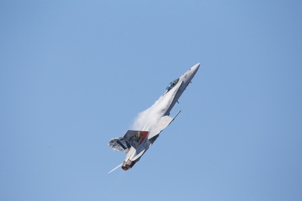 IMG 9695