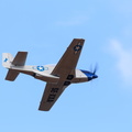 IMG 1495
