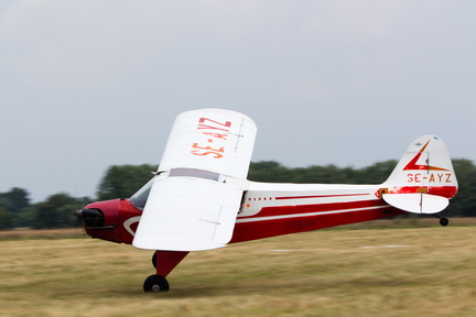 IMG 4599