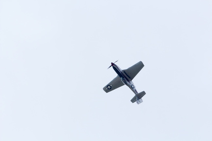 IMG 2615